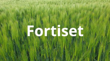 اختبار وصف الصورة.