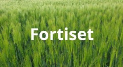 اختبار وصف الصورة.