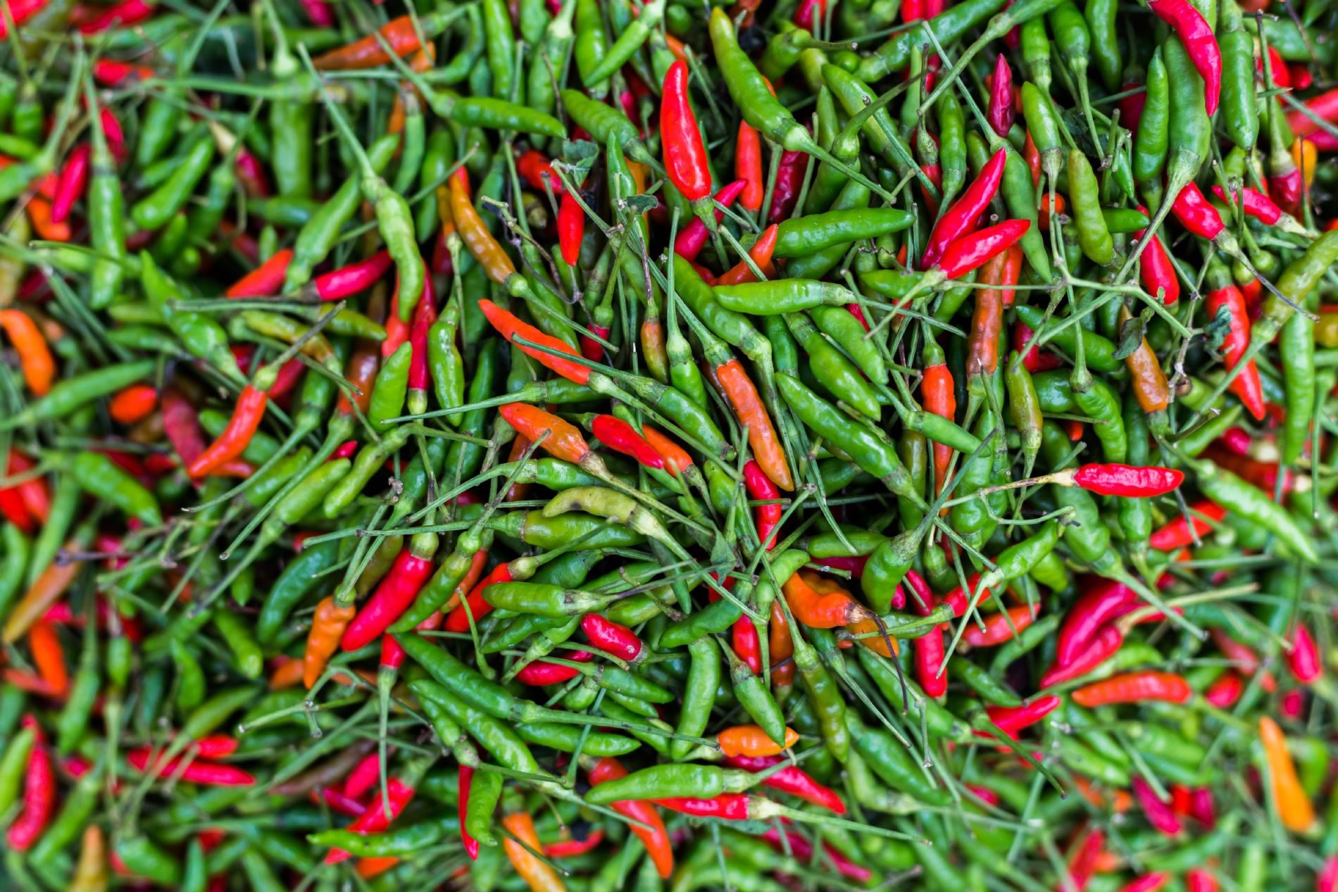 منظمات الأس الهيدروجيني والمواد الخافضة للتوتر السطحي