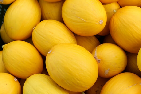 Fertilizantes aptos para agricultura ecol�gica - Carbotecnia