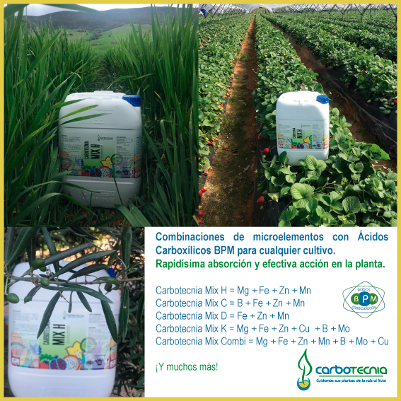 Fertilizantes para c�tricos