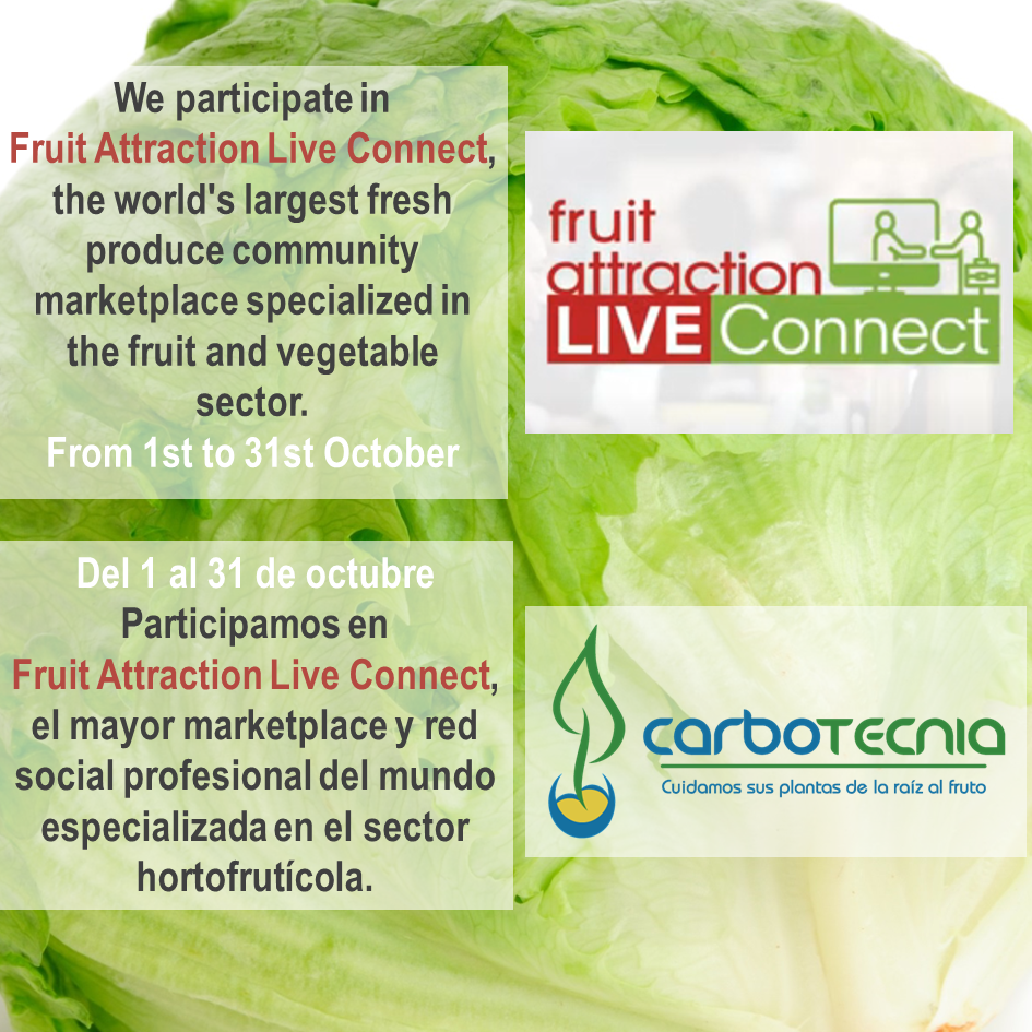 جذب الفاكهة