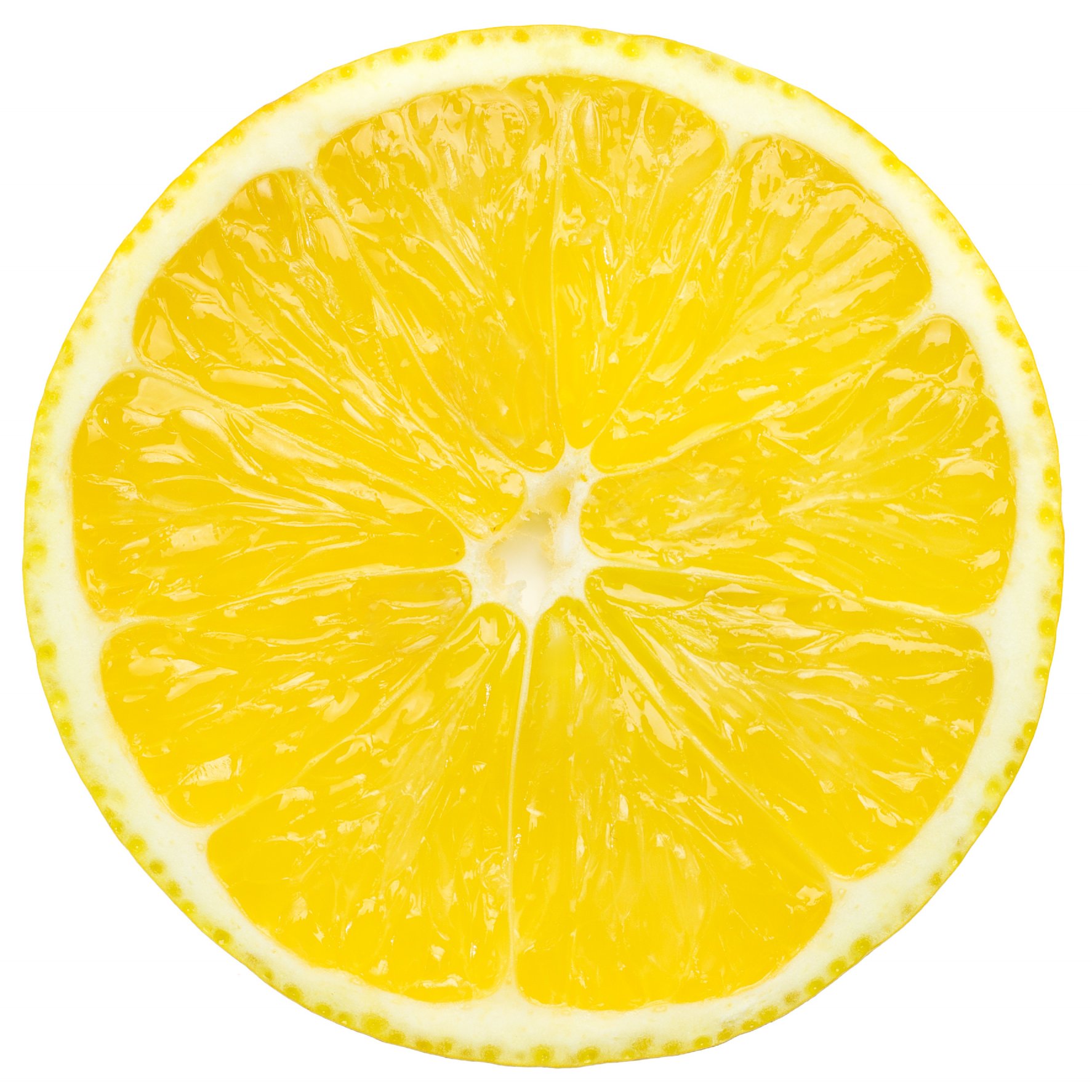 Abonos y fertilizantes - Fabricante y distribuidor